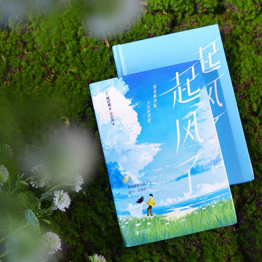 起风了 商品图3