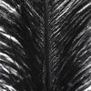 永生花材 | 火鸟毛黑色 商品缩略图2