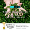 N3-【4条装】【男童 A类 开袋即穿】茶肌面料抑菌莫代尔舒适透气  男童内裤【青春系列】 商品缩略图4