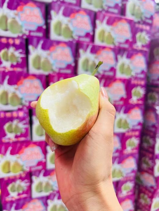 羊奶香梨一箱 商品图0