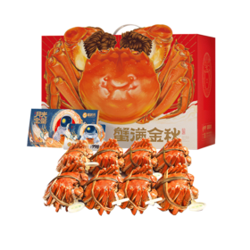 【无蟹不欢】蟹状元998型号 四对装雄蟹4.0两；雌蟹2.8两