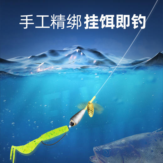 麦尚路亚饵德州钓组套装 商品图2