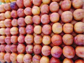 大红袍李子一斤