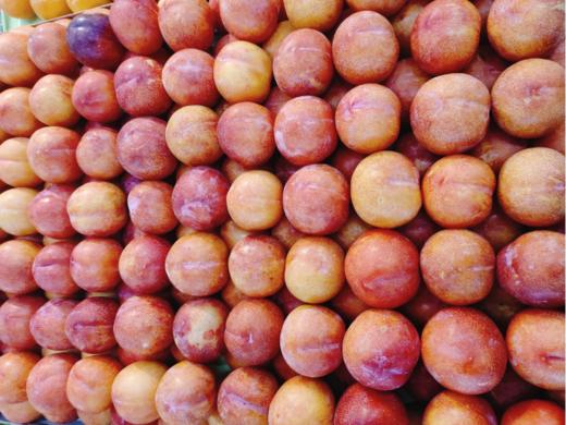 大红袍李子一斤 商品图0