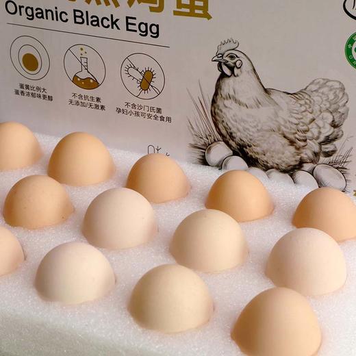 康在此有机黑鸡蛋 无沙门氏菌 橘黄色大蛋黄 高蛋白 30 枚/箱 商品图7
