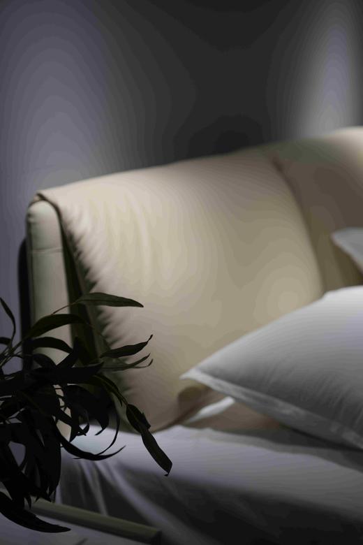 【定制皮床】专拍 商品图4