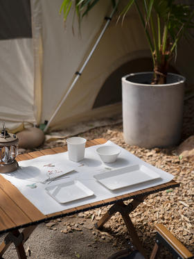 稀奇艺术+戴昆《轻宴》艺术家设计高端露营聚餐一次性餐具艺术品