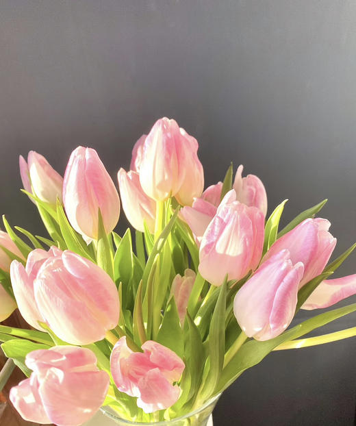 【国产郁金香】粉白色(马卡龙）  约10支/扎 商品图2