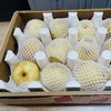 丨有机丨酵素黄金梨 河南南阳伏牛山脉小空山 商品缩略图5