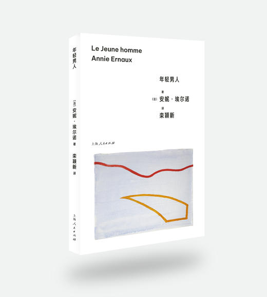 安妮·埃尔诺作品集（第一辑）（5册）（2023年出版） 商品图2