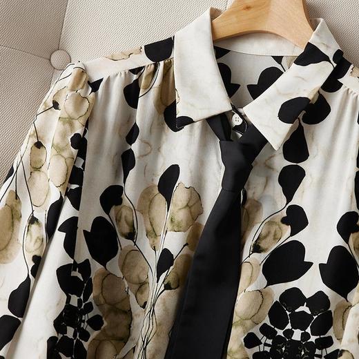 2023秋装新款衬衫女长袖宽松雪纺衫印花女士衬衣A2751 商品图3