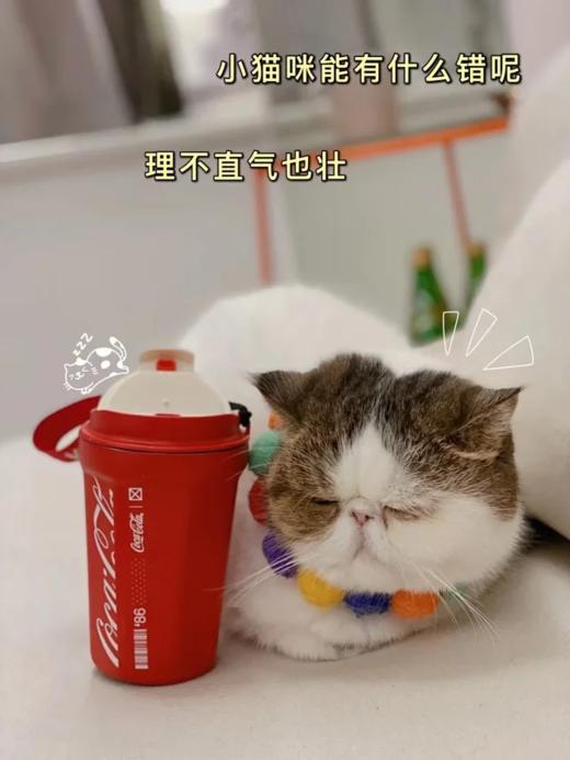 年后发！孙颖莎同款！【正品GERM&可口可乐联名款菱形咖啡杯】可保冷 可保温 内杯316医用钢！咖啡杯，圆形，菱形两种设计风格，两种容量选择【品牌直发】 送礼物 商品图5