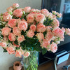 多头玫瑰 小仙女 10支/扎 云南基地发货 （价格已包含包装费用） 运费以实际为准，多退少补。 商品缩略图0