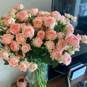 多头玫瑰 小仙女 10支/扎 云南基地发货 （价格已包含包装费用） 运费以实际为准，多退少补。