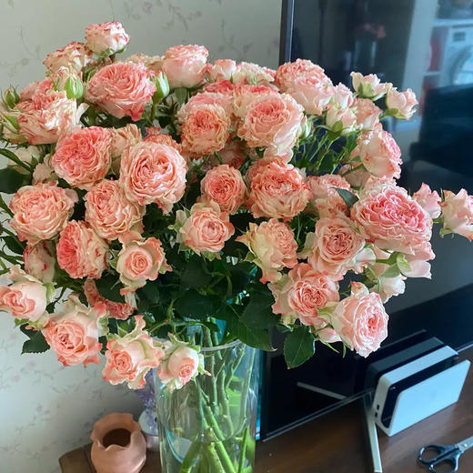 多头玫瑰 小仙女 10支/扎 云南基地发货 （价格已包含包装费用） 运费以实际为准，多退少补。 商品图0