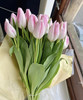 【国产郁金香】粉白色(马卡龙）  约10支/扎 商品缩略图5