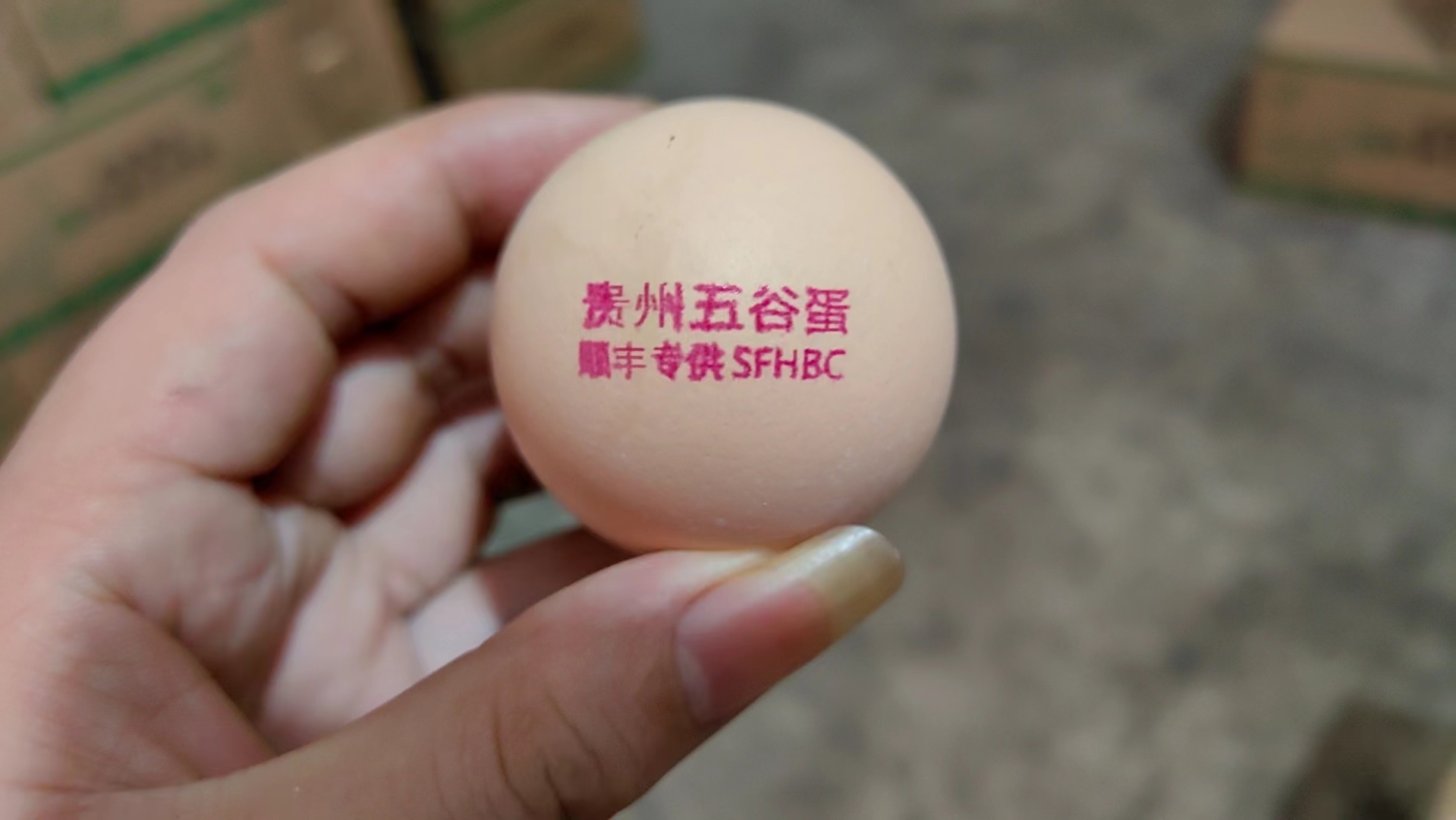 贵州五谷红心蛋360枚重45-47斤（1件12板配12个蛋托）