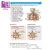 【中商原版】New Pearson Edexcel IGCSE Biology Revision Guide Including Online Edition Videos & Quizzes 商品缩略图1