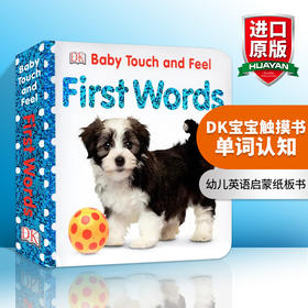 DK宝宝触摸书 单词认知 英文原版绘本 Baby Touch and Feel First Words 英文版进口原版幼儿英语启蒙纸板书 亲子共读早教益智书籍