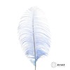 永生花材 | 火鸟毛蓝色 商品缩略图0