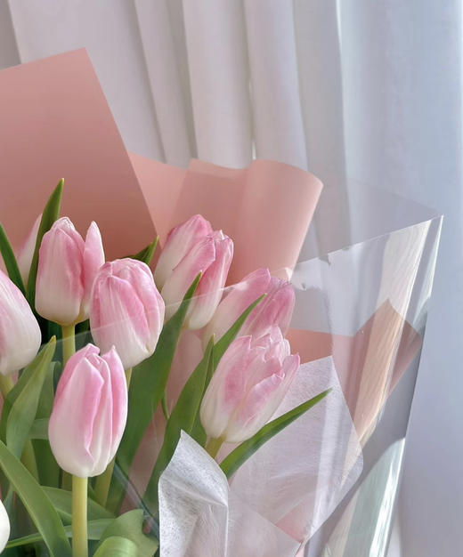 【国产郁金香】粉白色(马卡龙）  约10支/扎 商品图1