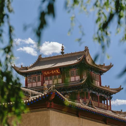 五一特期|何以敦煌，丝绸之路，点亮孩子文化自信之路 5天4晚 商品图2