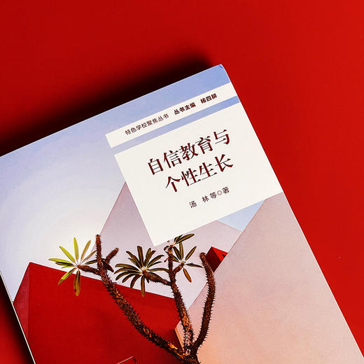 自信教育与个性生长 特色学校聚焦丛书 杨四耕 学校建设与管理 商品图5