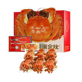 【无蟹不欢】蟹状元2488型号 三对装雄蟹5.5两；雌蟹4.0两