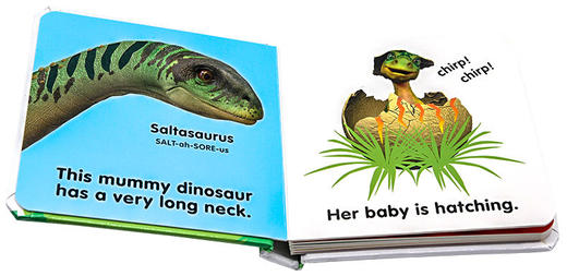 DK 宝宝触摸纸板书 小恐龙 英文原版绘本 Baby Touch and Feel Baby Dinosaur 幼儿英语启蒙早教认知图画书 感官智力开发 英文版 商品图2