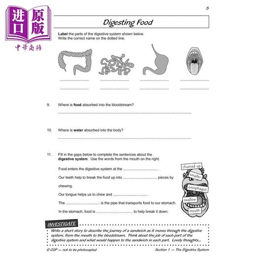 【中商原版】英国CGP KS2 Science Year Four Workout: Teeth, Digestion & Food Chains 商品图3