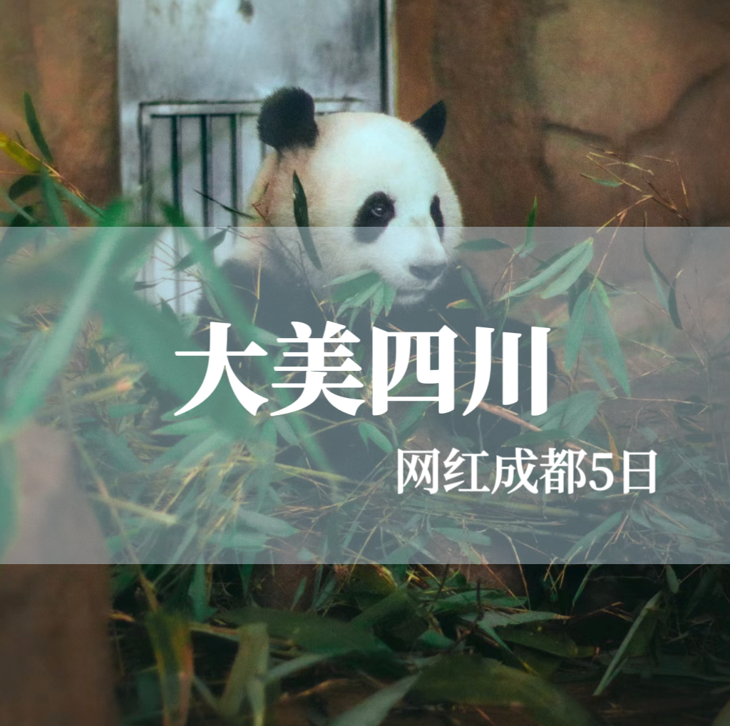 【大美四川】网红成都 峨眉山+乐山大佛+三星堆+都江堰+熊猫基地+武侯祠5日游