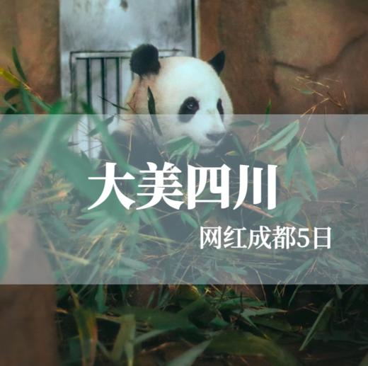 【大美四川】网红成都 峨眉山+乐山大佛+三星堆+都江堰+熊猫基地+武侯祠5日游 商品图0