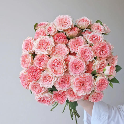 多头玫瑰 小仙女 10支/扎 云南基地发货 （价格已包含包装费用） 运费以实际为准，多退少补。 商品图2