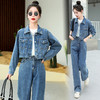 LTDMGY3361 2023春季新款复古牛仔短外套高腰显瘦阔腿裤少女感套装 商品缩略图0