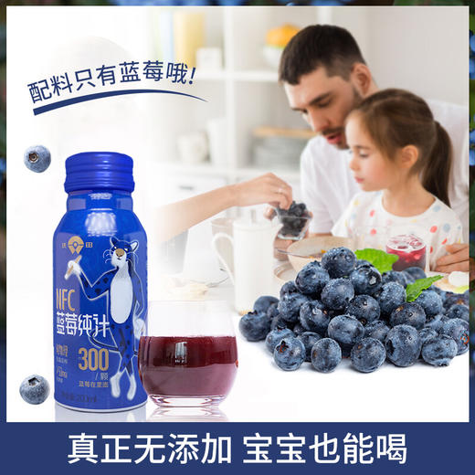 沃田蓝 NFC蓝莓纯汁 200ml*10瓶/箱 商品图6