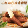 【新品上市】山东哈密冰糖蜜薯 新鲜白心蜜薯 糖心红薯 超甜农家自种沙地番地瓜 商品缩略图0
