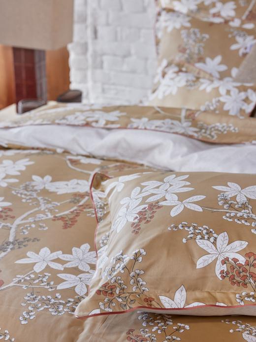 AT邸尔铂·法国进口奢华家纺Légende传奇床品四件套床品配件 商品图2