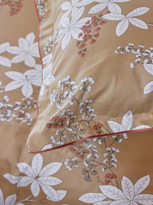 AT邸尔铂·法国进口奢华家纺Légende传奇床品四件套床品配件 商品图3