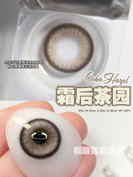 Doragina 年抛美瞳 霜后花园 直径14.5mm着色13.8mm 商品图14