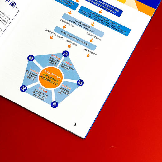 中国儿童青少年体育健康促进行动方案 2020—2030 双减政策背景下学校体育高质量发展研究项目组编 商品图6