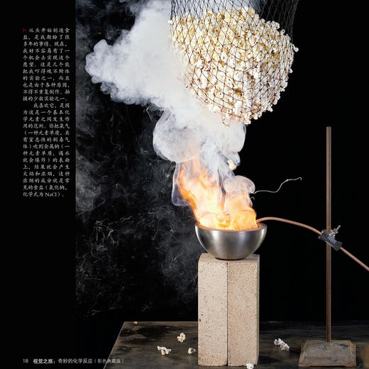 《视觉之旅：奇妙的化学反应》（彩色典藏版） 商品图5