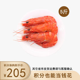 积分换购 | 2023新货 东海岛 熟冻成熟对虾大号 5斤（含冰）[福利品]