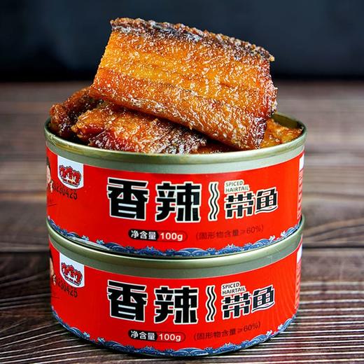 带鱼罐头（100g*10罐）食材干净洁净海域捕捞 即食下饭 必回购  纯鱼无豆 肉真价实 只留中间段 【正洋】 商品图2