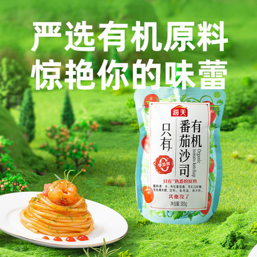 【1瓶包邮】海天有机番茄沙司305g 番茄酱 商品图2
