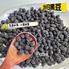 【当归黑豆】精选农家小黑豆为主料，种植三年以上的珉县当归，味道清甜，越嚼越香，居家健康养生小零食~ 商品缩略图0