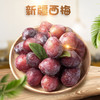 【顺丰陆运 西安仓发货】新疆·喀什 法兰西西梅精品礼盒装 新鲜当季梅子 商品缩略图0