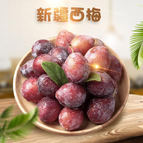 【顺丰陆运 西安仓发货】新疆·喀什 法兰西西梅精品礼盒装 新鲜当季梅子