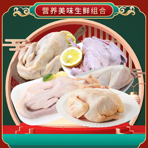 崇明老杜家禽F款5850g 商品图1