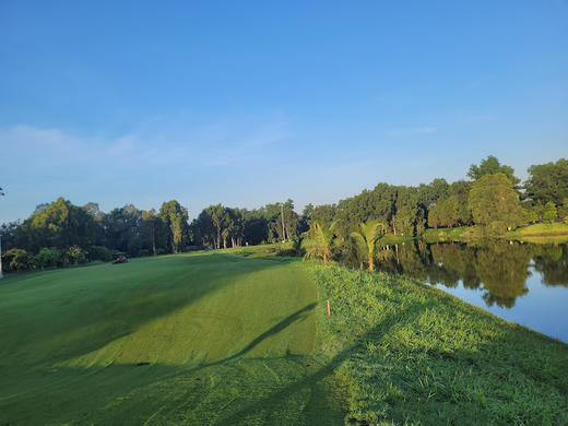 越南戴丽星高尔夫乡村俱乐部 Dai Lai Star Golf & Country Club | 越南高尔夫球场  | 河内高尔夫 商品图5