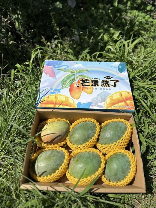攀枝花凯特芒果 商品图6